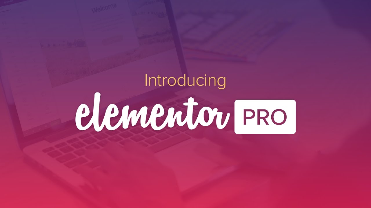 Elementor Pro Plugin